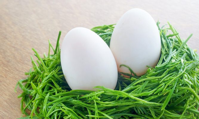 Trứng ngỗng: 100g trứng ngỗng cung cấp 161kcal, chứa 13g protein; 14,2g lipid